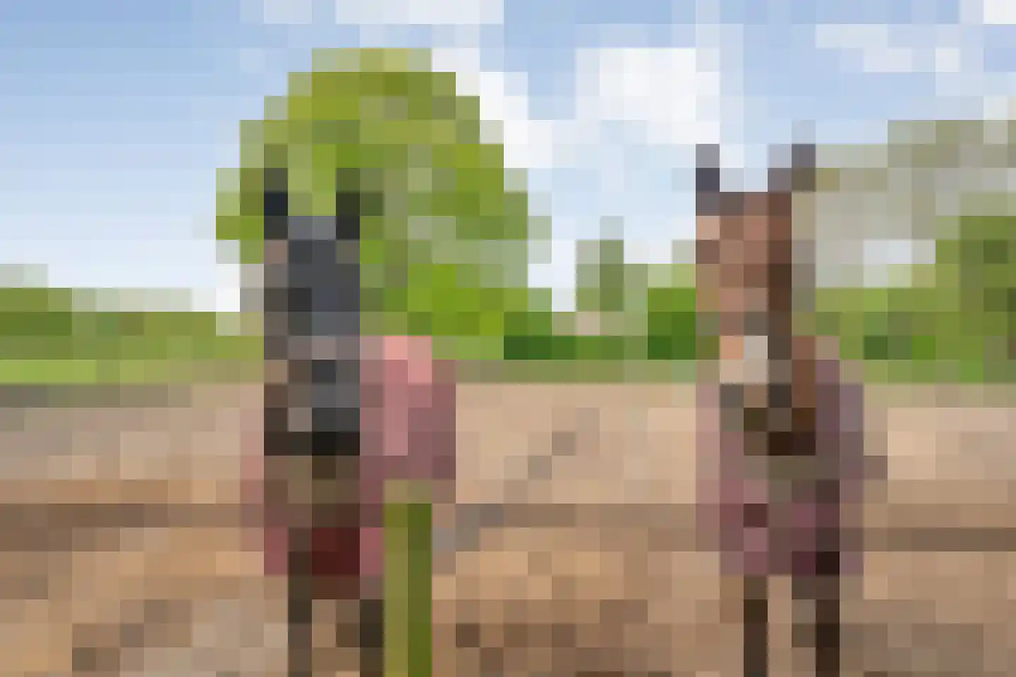 Bijkersweg 4 Donderen thumbnail 100