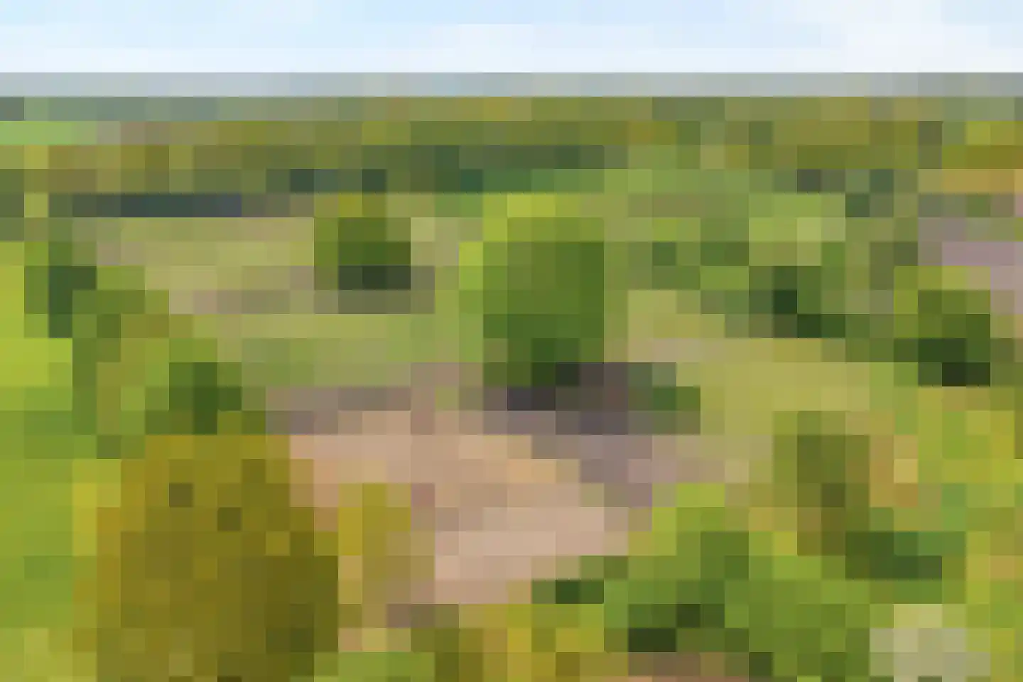 Bijkersweg 4 Donderen thumbnail 101