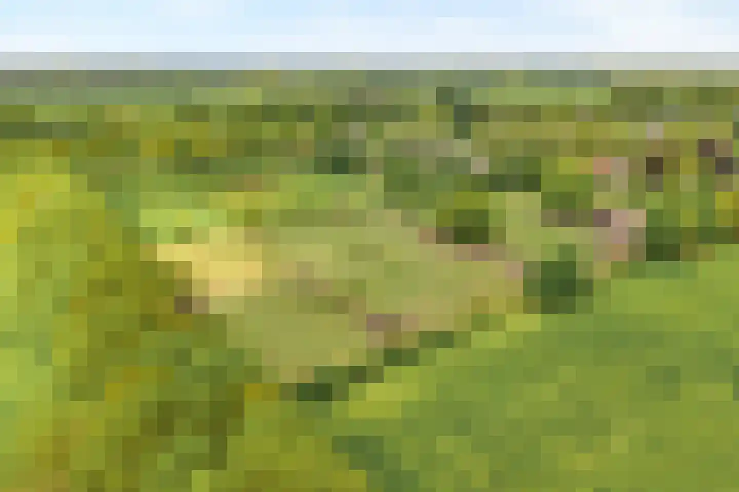 Bijkersweg 4 Donderen thumbnail 102