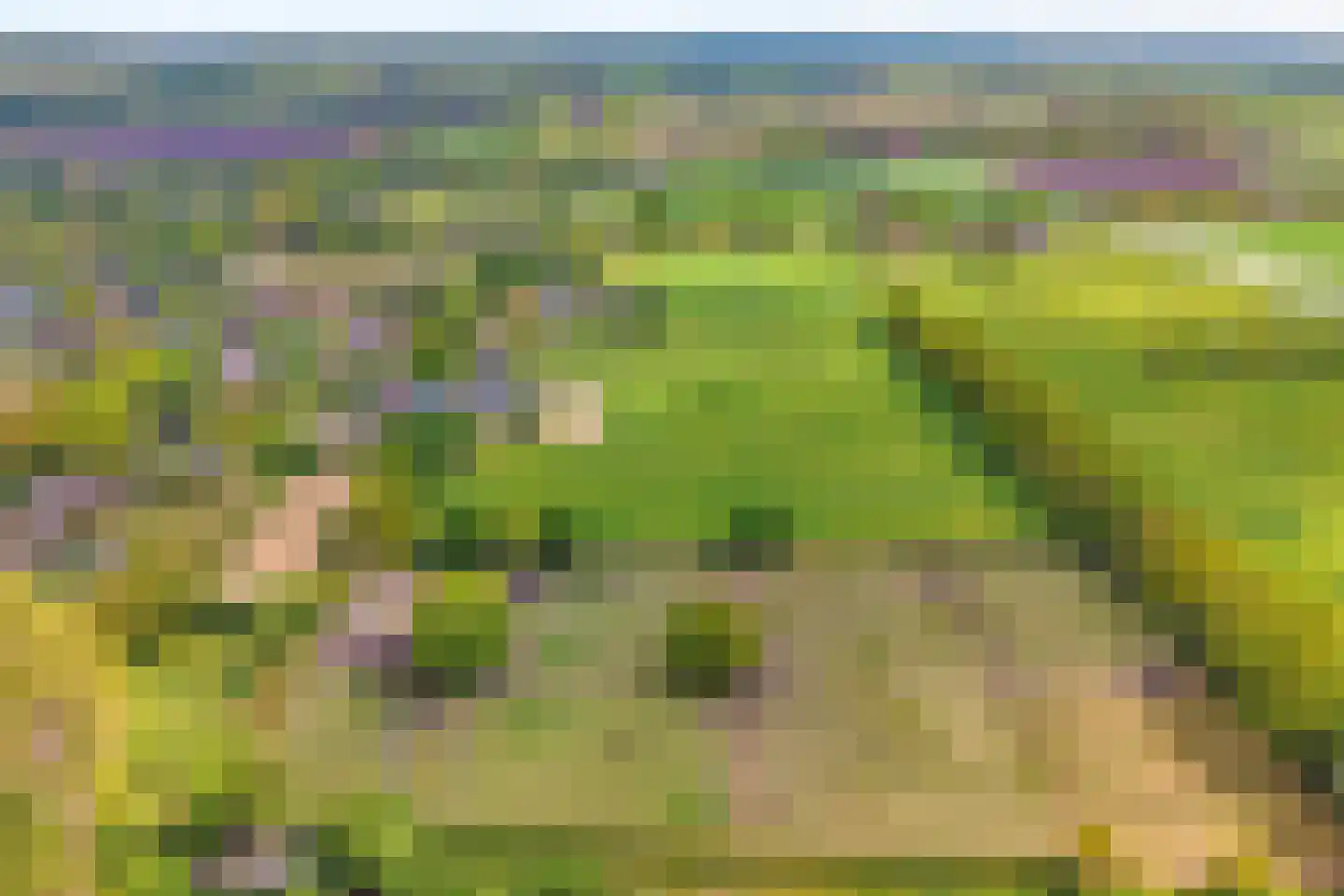Bijkersweg 4 Donderen thumbnail 103