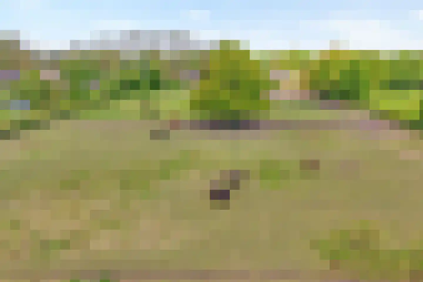 Bijkersweg 4 Donderen thumbnail 104