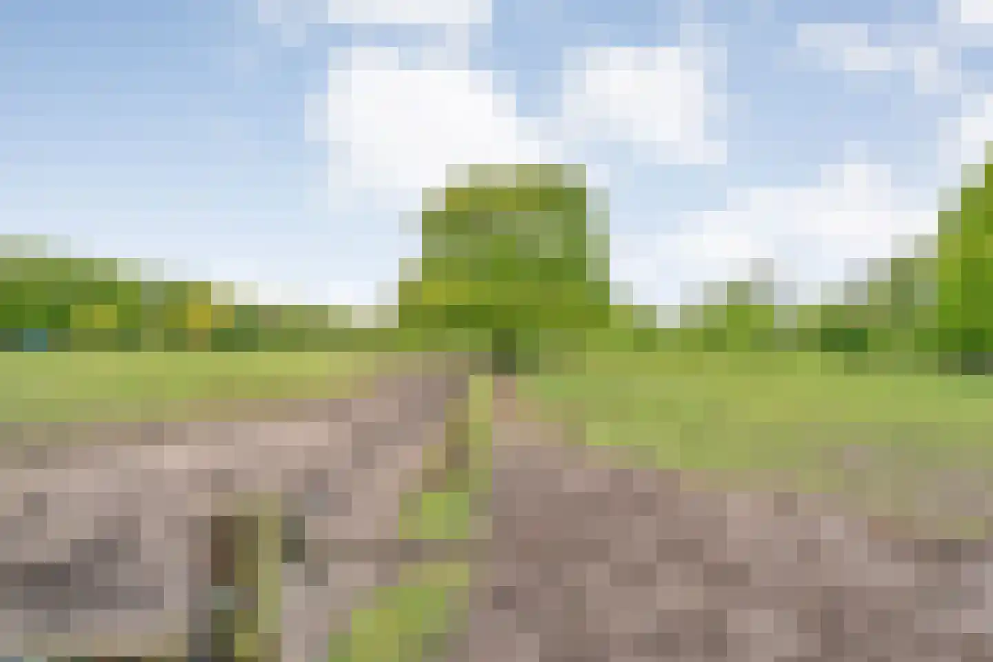 Bijkersweg 4 Donderen thumbnail 105