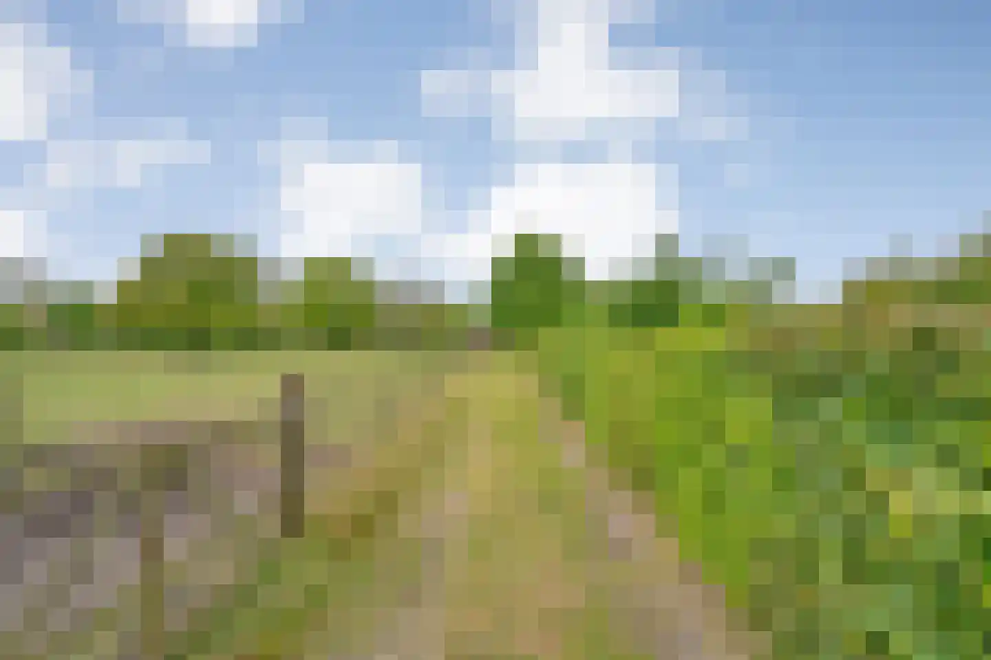 Bijkersweg 4 Donderen thumbnail 106