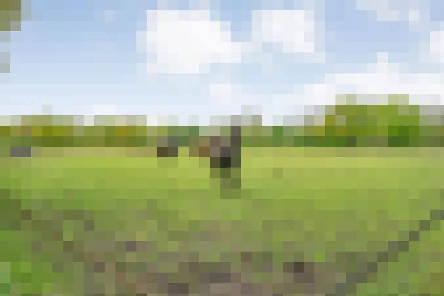 Bijkersweg 4 Donderen thumbnail 107