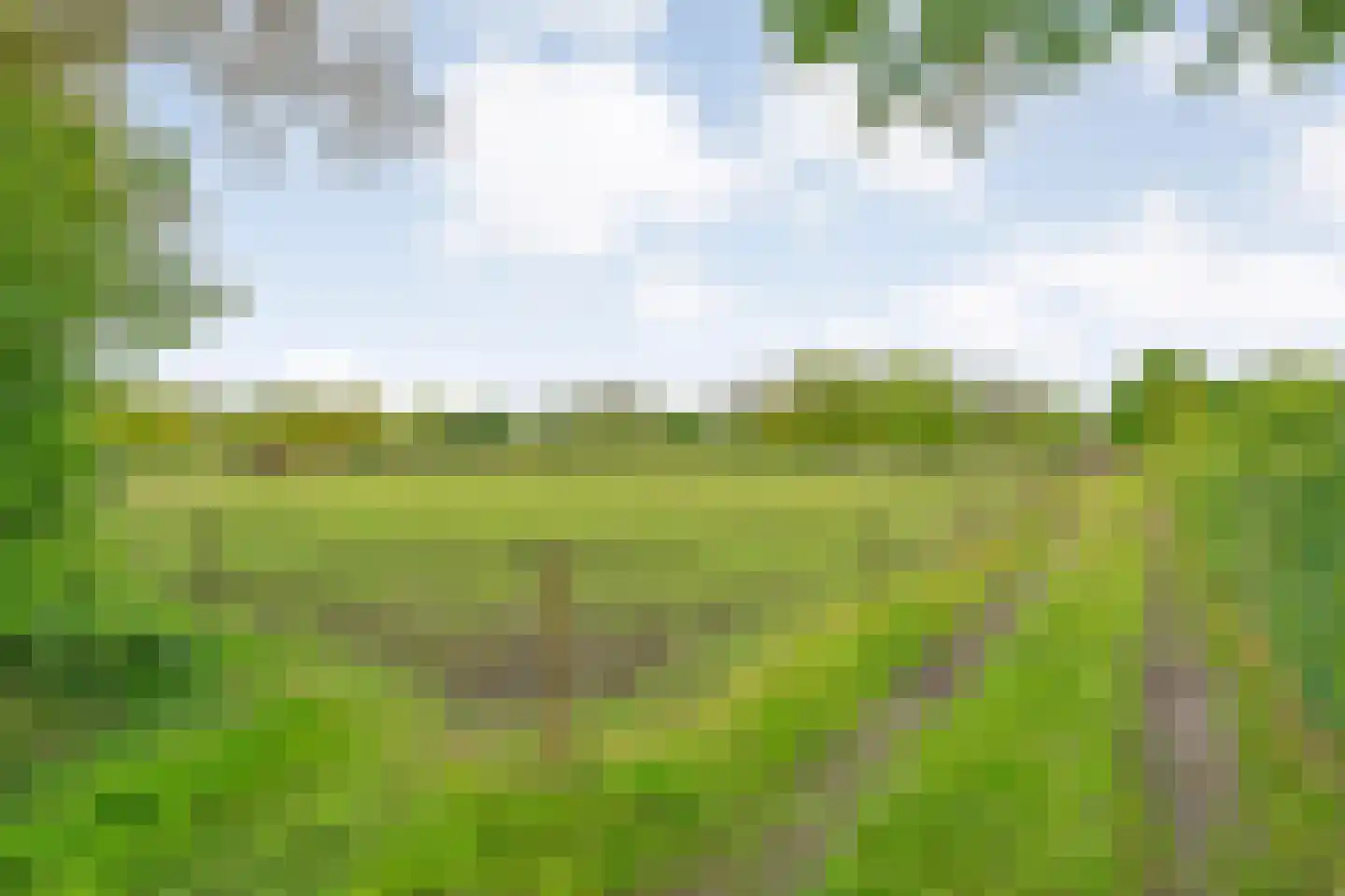 Bijkersweg 4 Donderen thumbnail 107