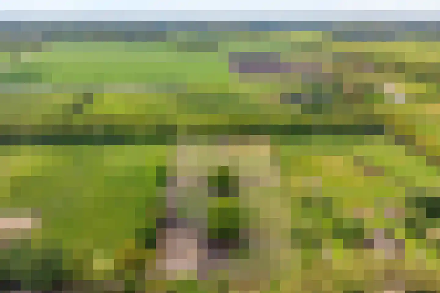 Bijkersweg 4 Donderen thumbnail 109