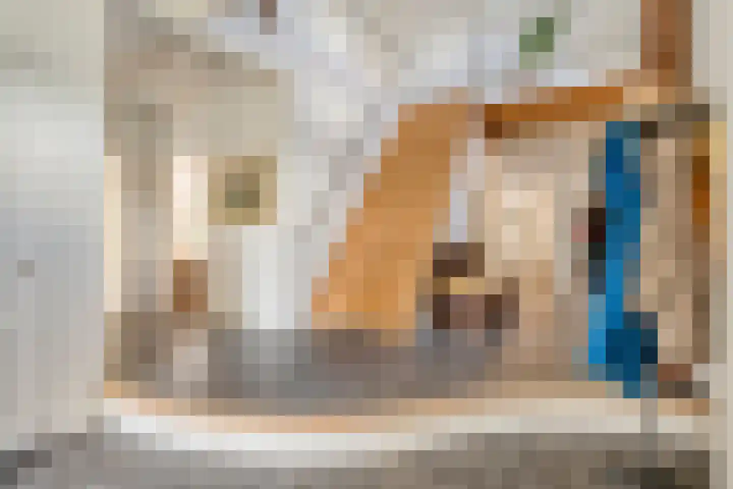 Bijkersweg 4 Donderen thumbnail 11