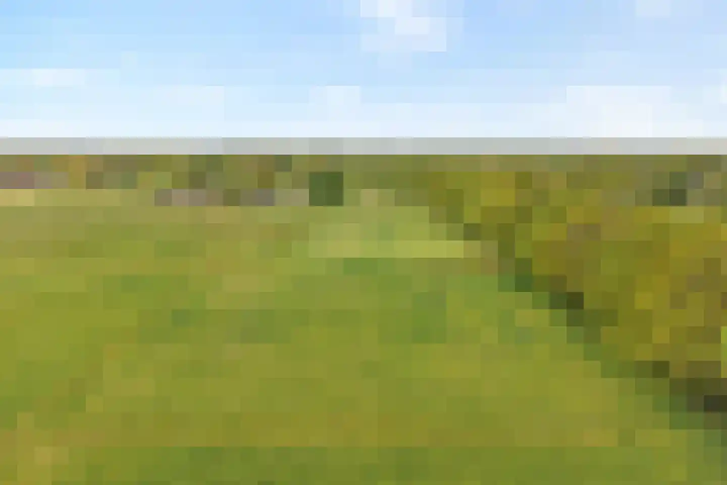 Bijkersweg 4 Donderen thumbnail 113