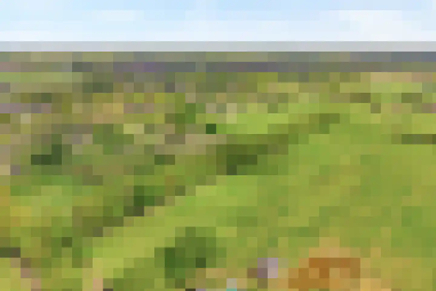 Bijkersweg 4 Donderen thumbnail 114