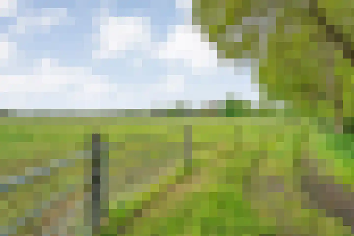 Bijkersweg 4 Donderen thumbnail 116