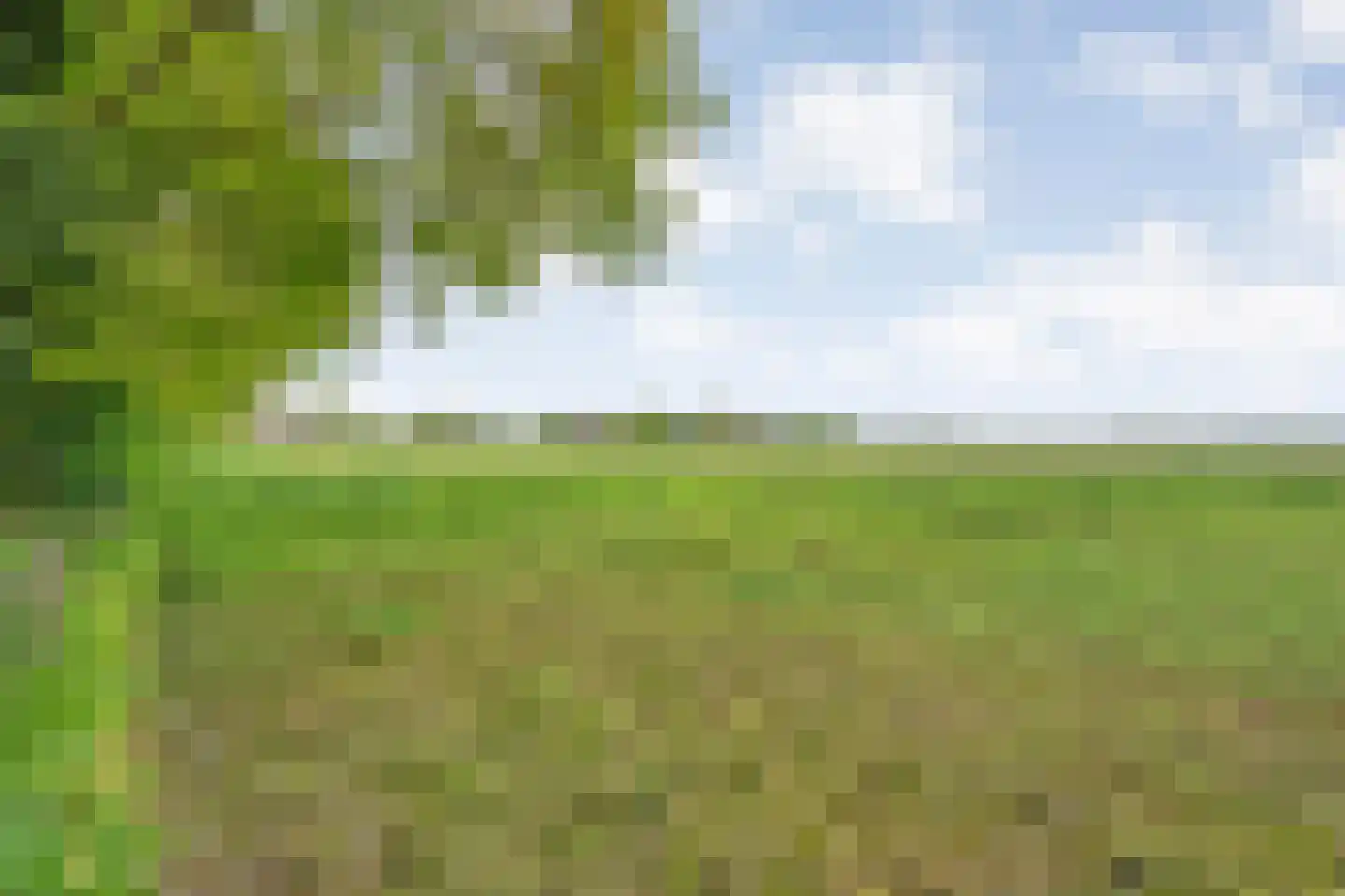 Bijkersweg 4 Donderen thumbnail 117