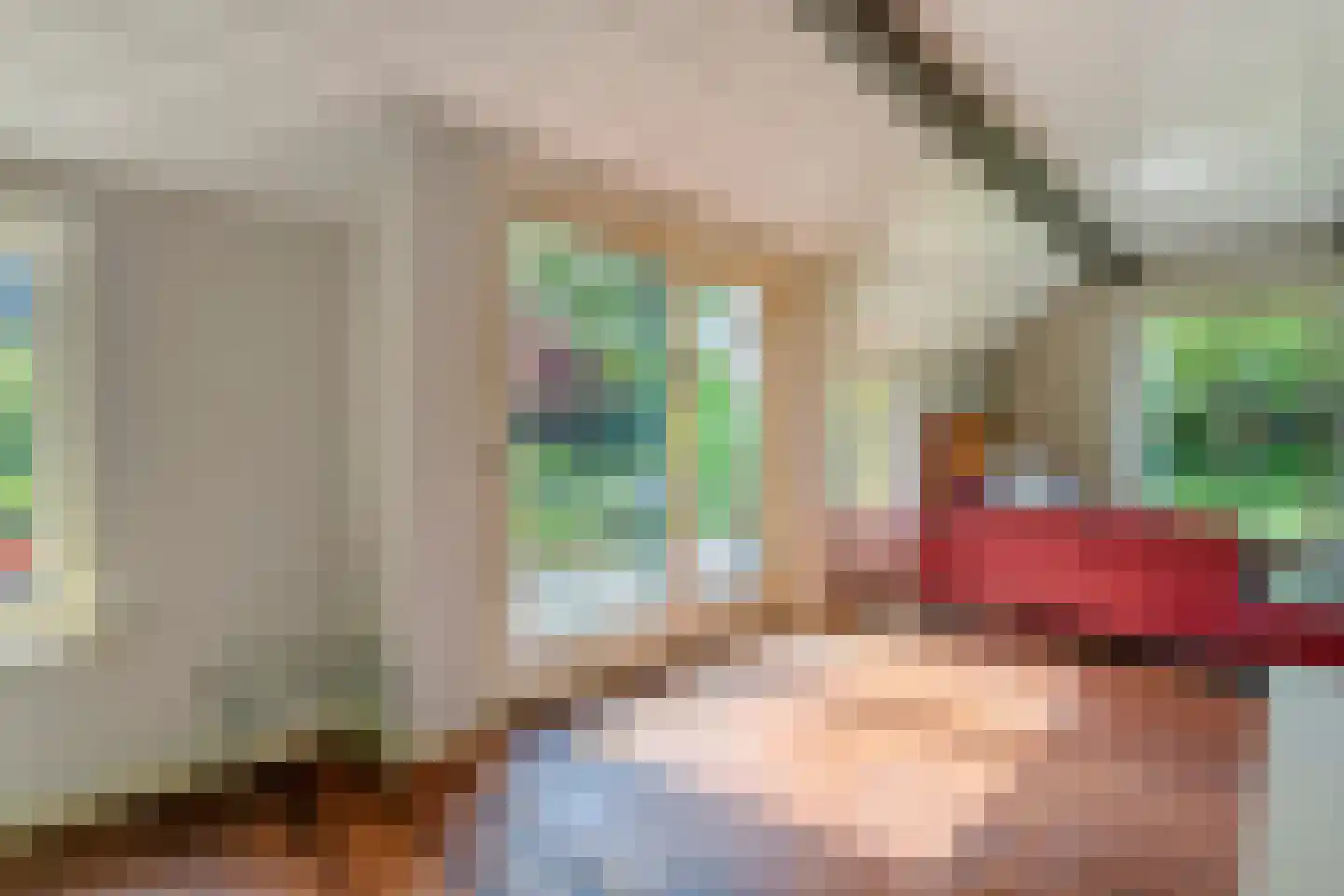 Bijkersweg 4 Donderen thumbnail 15