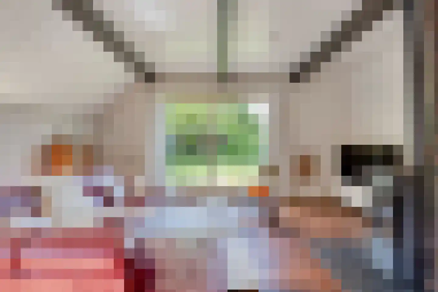 Bijkersweg 4 Donderen thumbnail 16