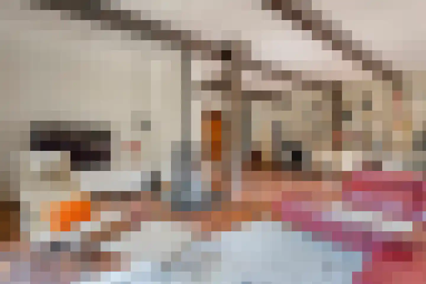 Bijkersweg 4 Donderen thumbnail 19
