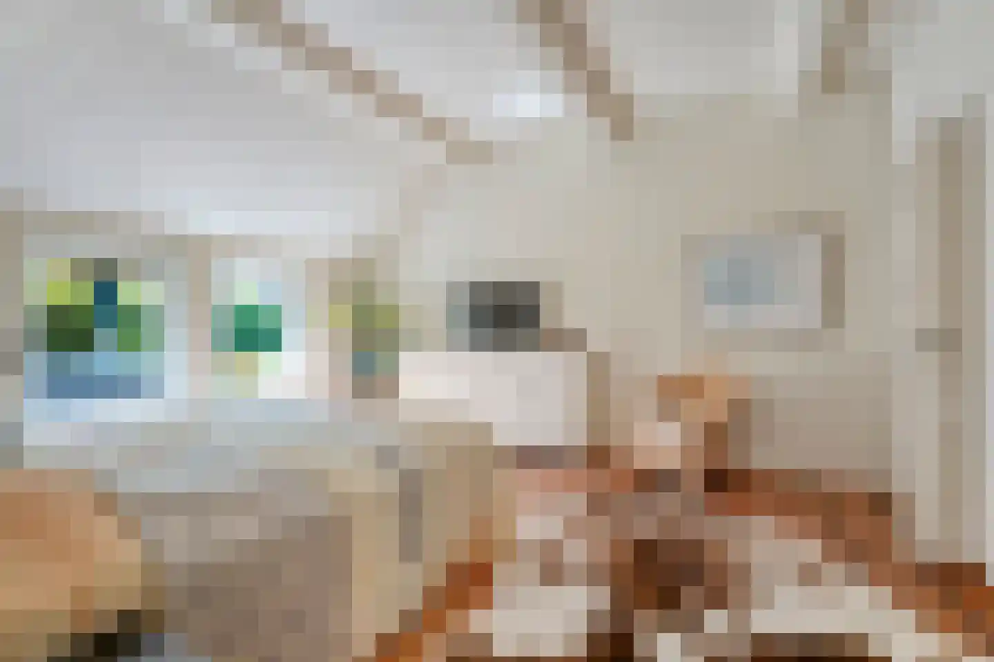 Bijkersweg 4 Donderen thumbnail 29