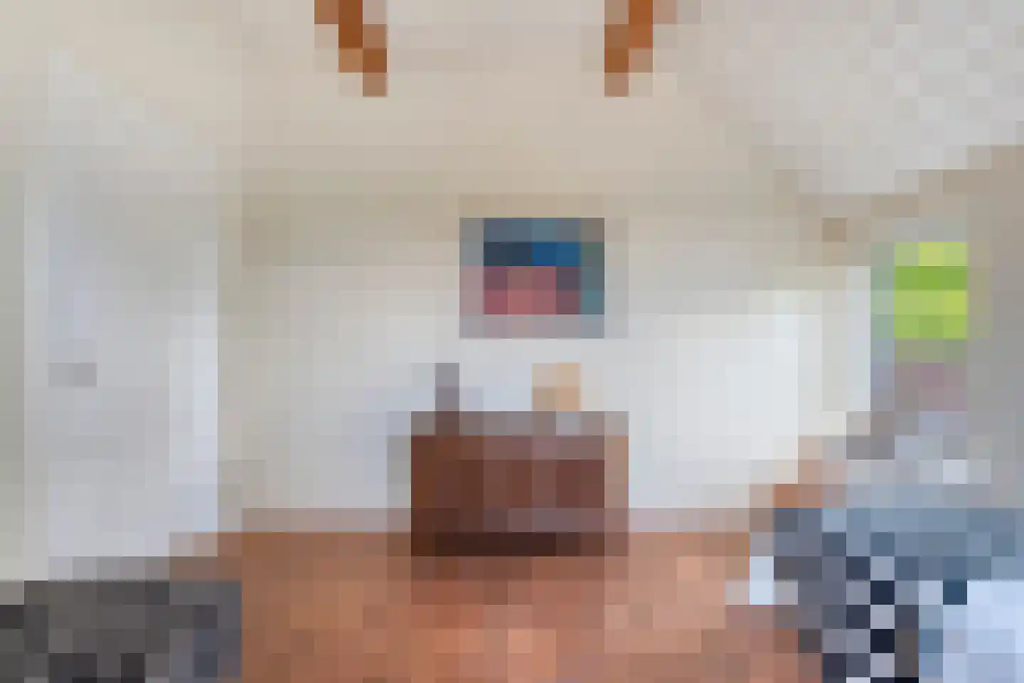 Bijkersweg 4 Donderen thumbnail 36
