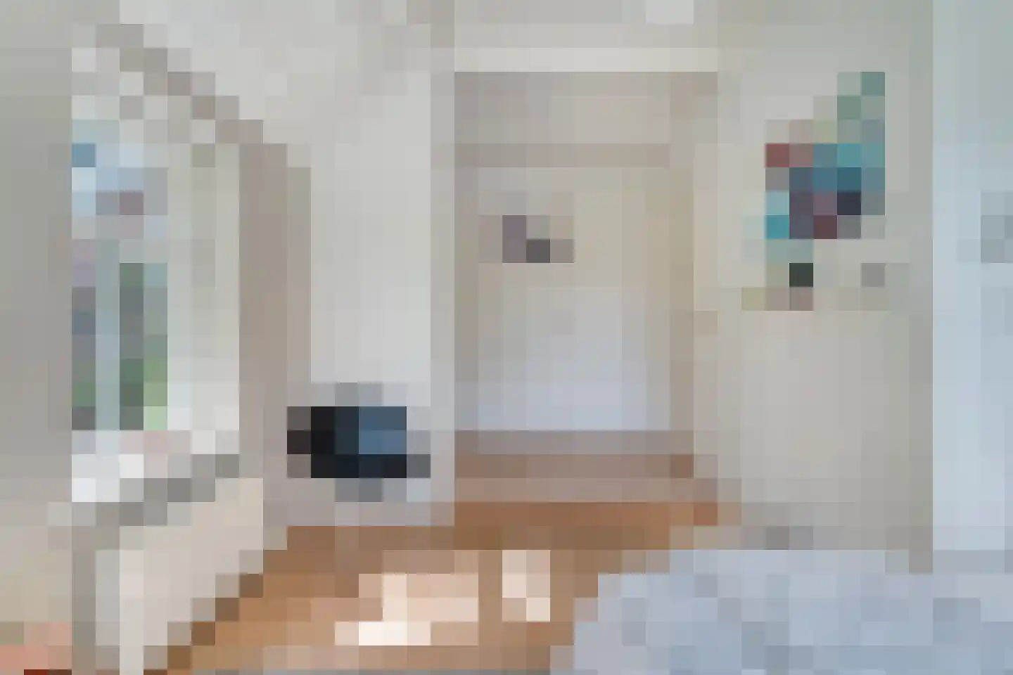 Bijkersweg 4 Donderen thumbnail 43