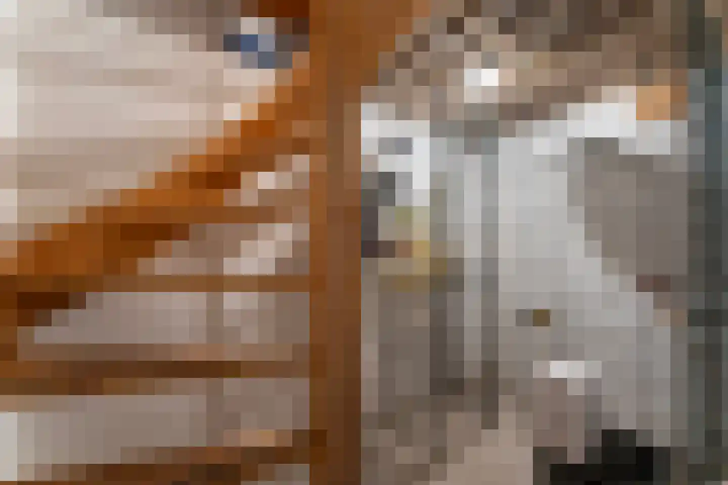 Bijkersweg 4 Donderen thumbnail 44