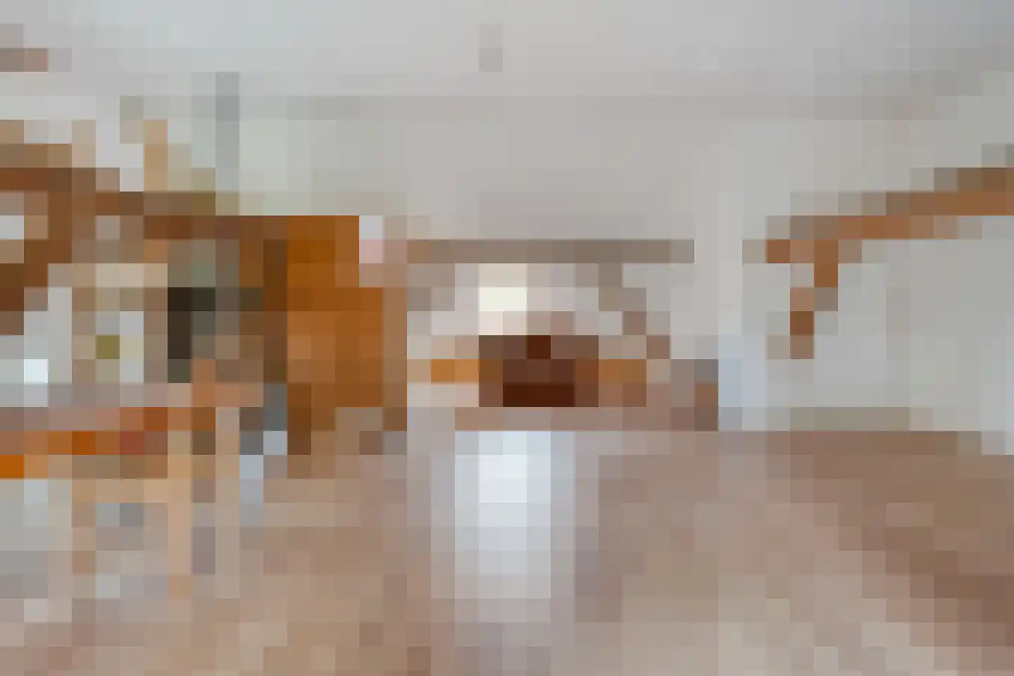 Bijkersweg 4 Donderen thumbnail 56
