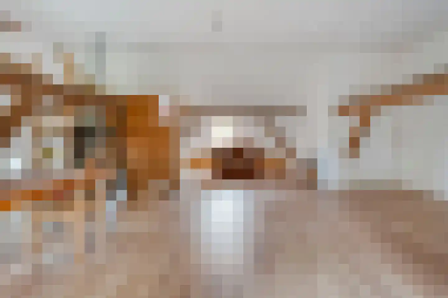 Bijkersweg 4 Donderen thumbnail 56
