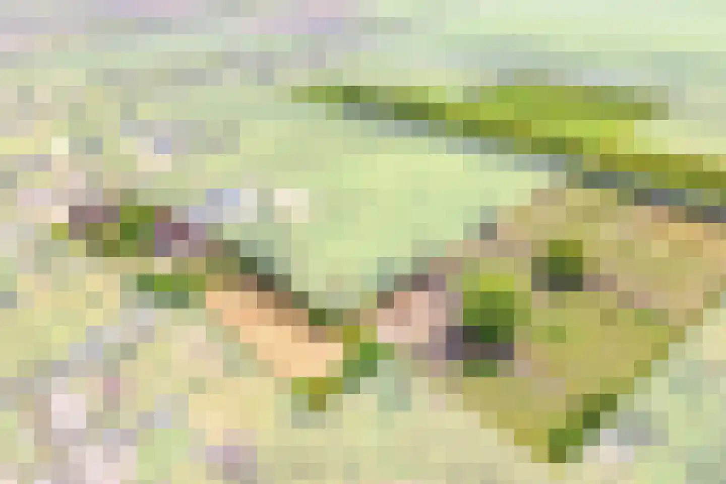 Bijkersweg 4 Donderen thumbnail 59