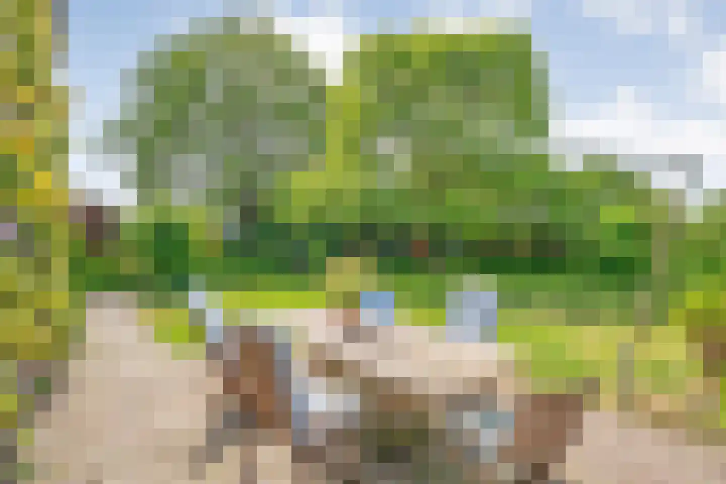 Bijkersweg 4 Donderen thumbnail 69