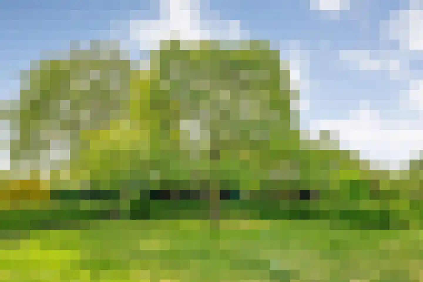Bijkersweg 4 Donderen thumbnail 71