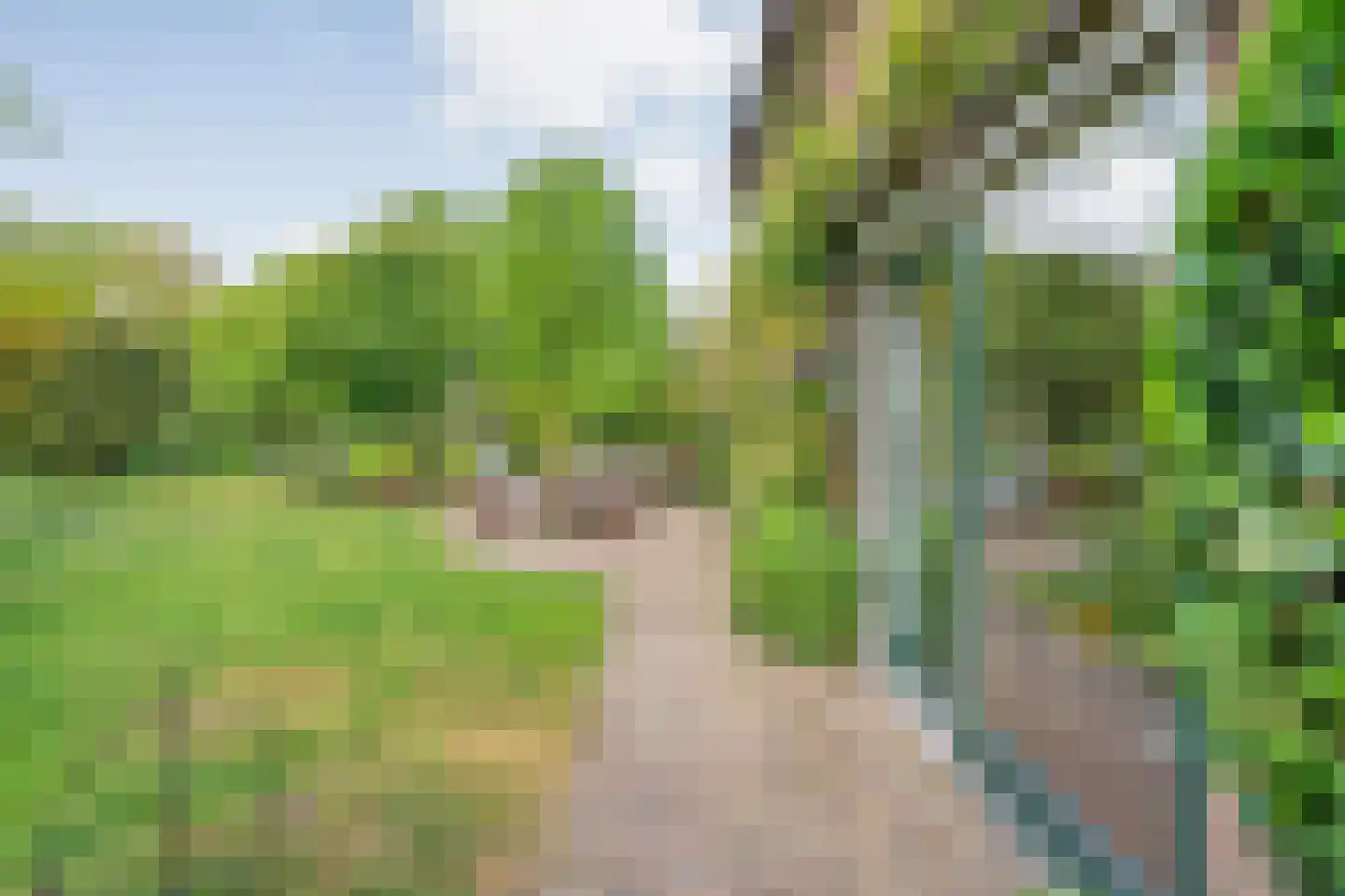 Bijkersweg 4 Donderen thumbnail 73