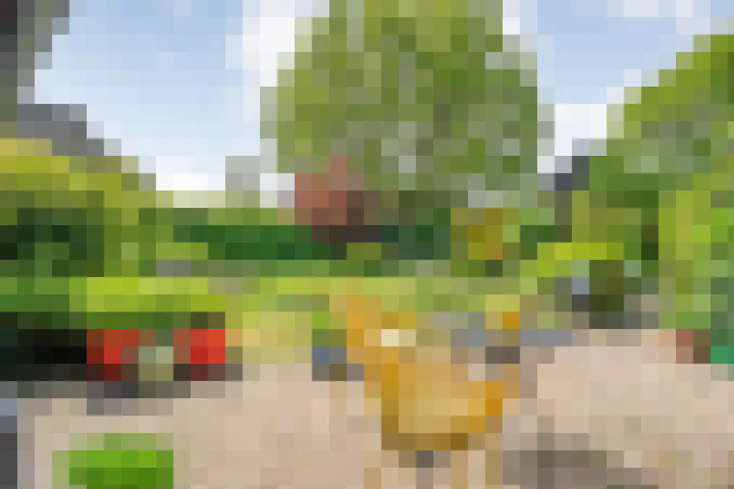 Bijkersweg 4 Donderen thumbnail 83