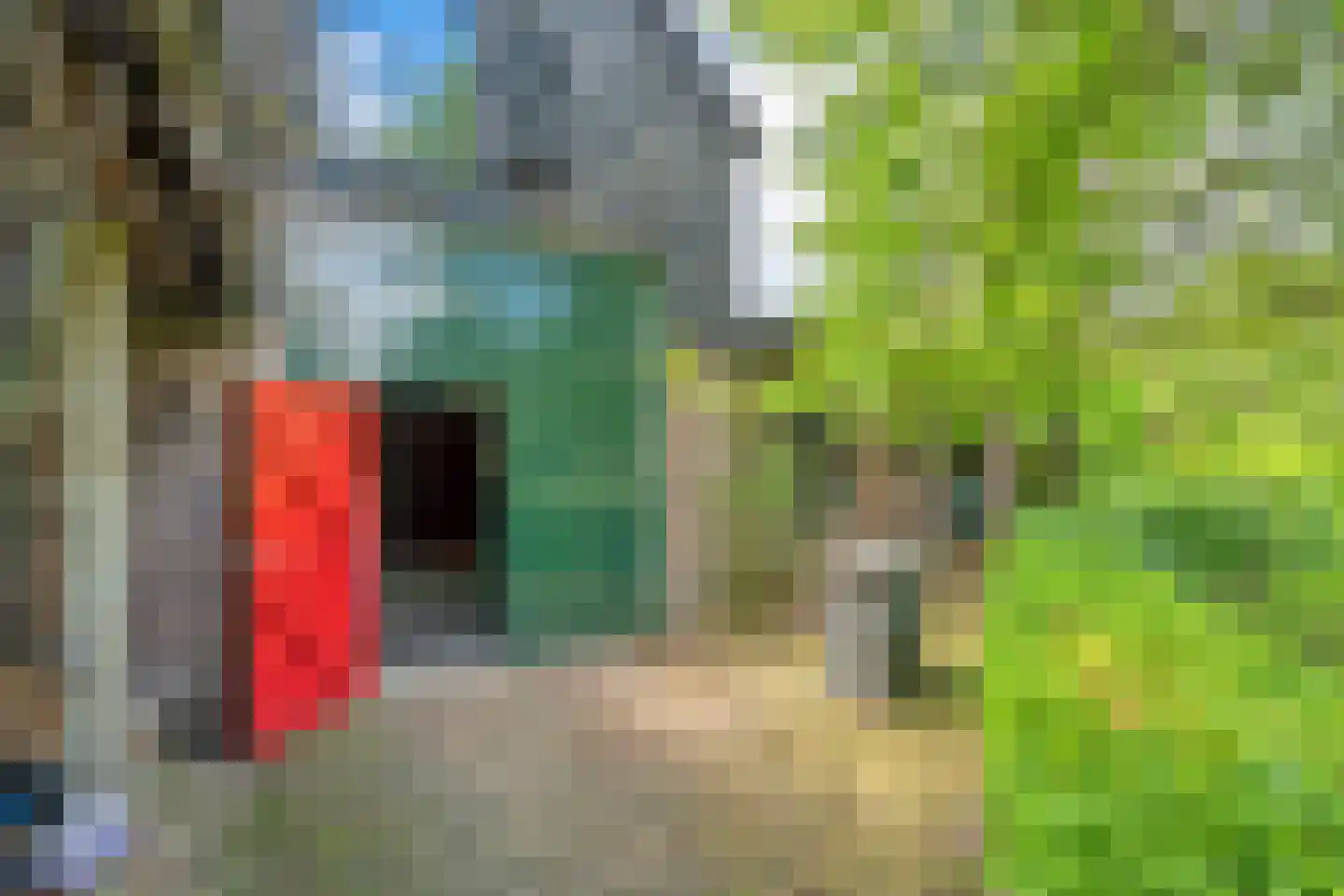 Bijkersweg 4 Donderen thumbnail 85