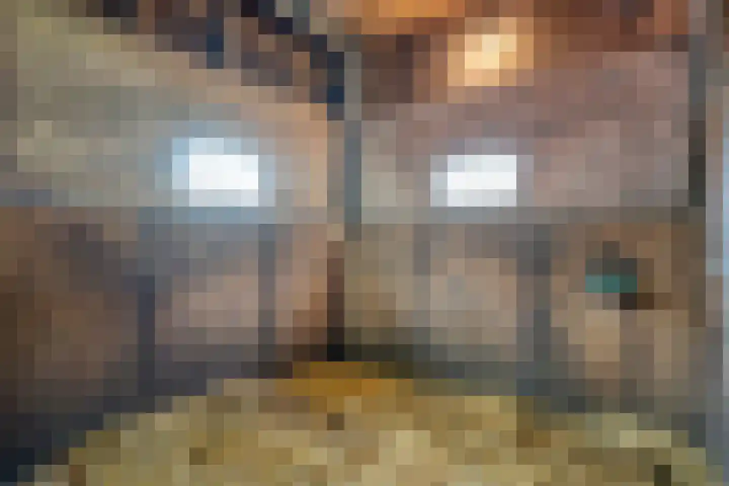 Bijkersweg 4 Donderen thumbnail 91