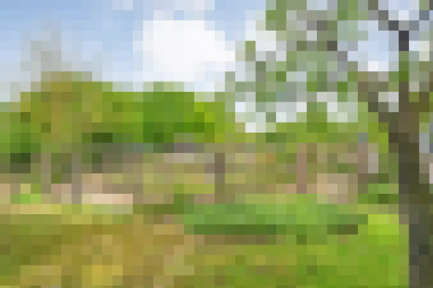 Bijkersweg 4 Donderen thumbnail 97