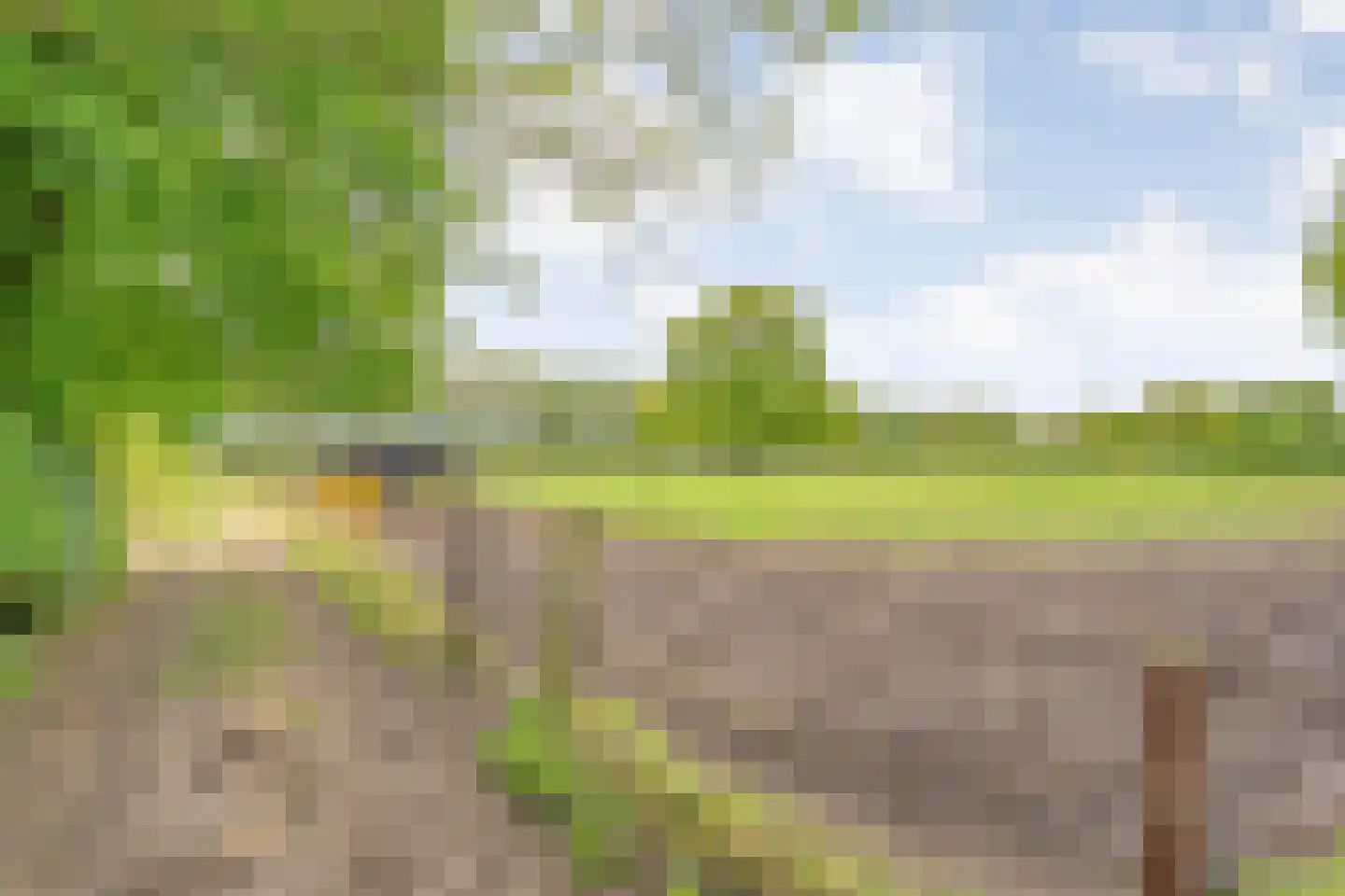 Bijkersweg 4 Donderen thumbnail 99
