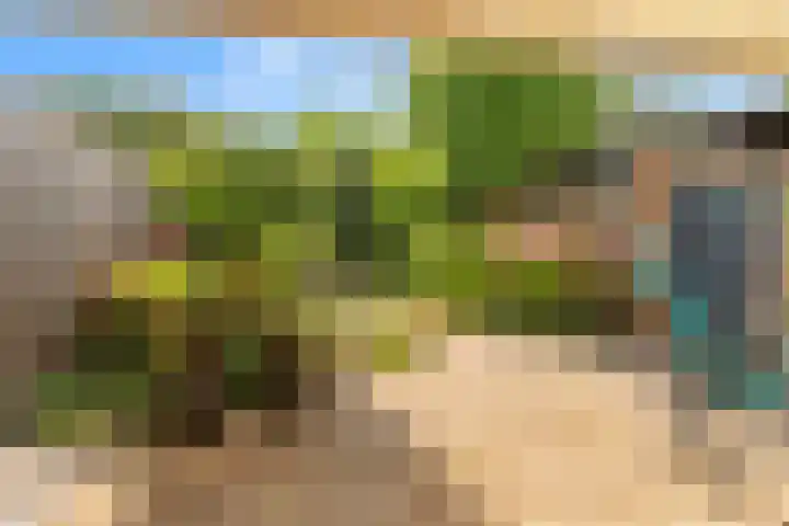 Bijlacker 4 Castricum thumbnail 18