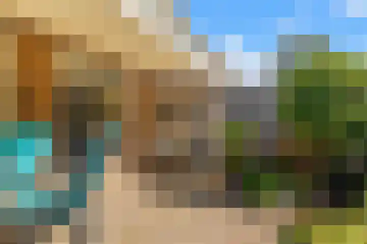 Bijlacker 4 Castricum thumbnail 19