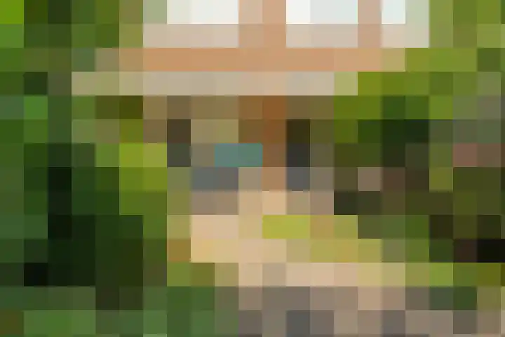 Bijlacker 4 Castricum thumbnail 20