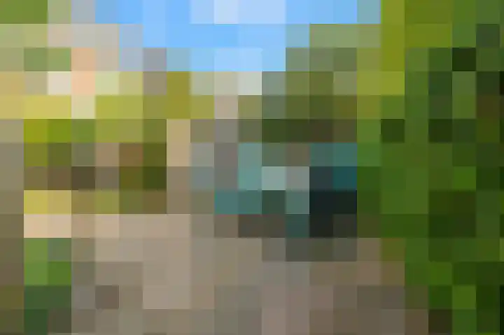 Bijlacker 4 Castricum thumbnail 21
