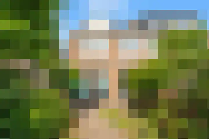 Bijlacker 4 Castricum thumbnail 24