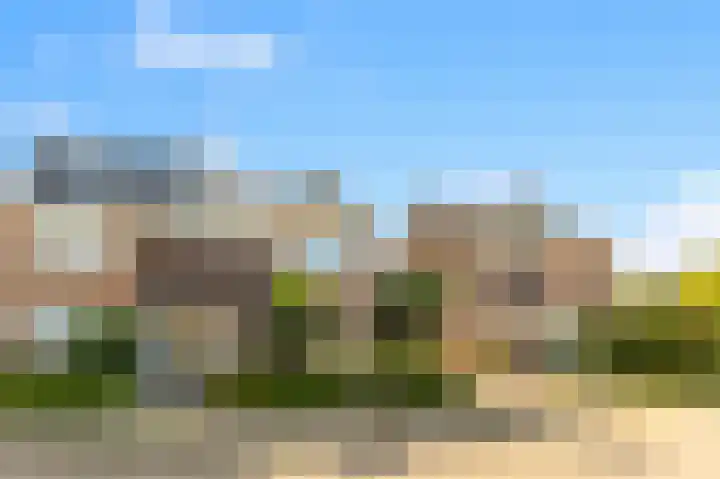 Bijlacker 4 Castricum thumbnail 39