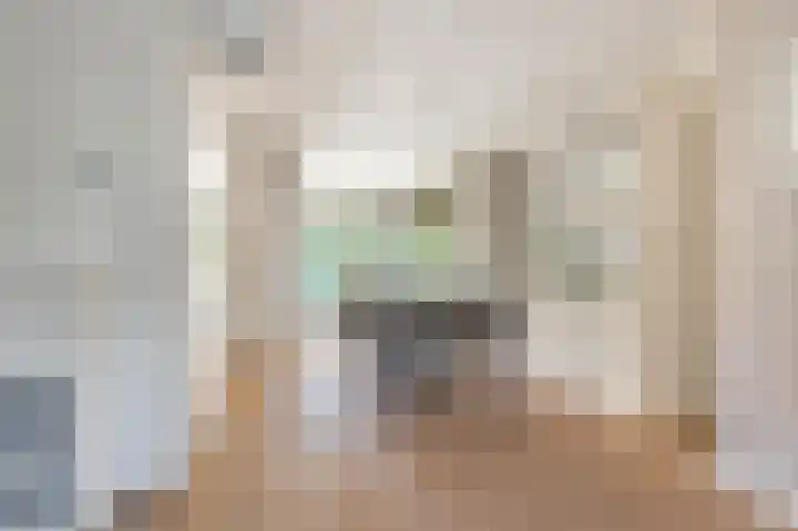 Bijlacker 4 Castricum thumbnail 4