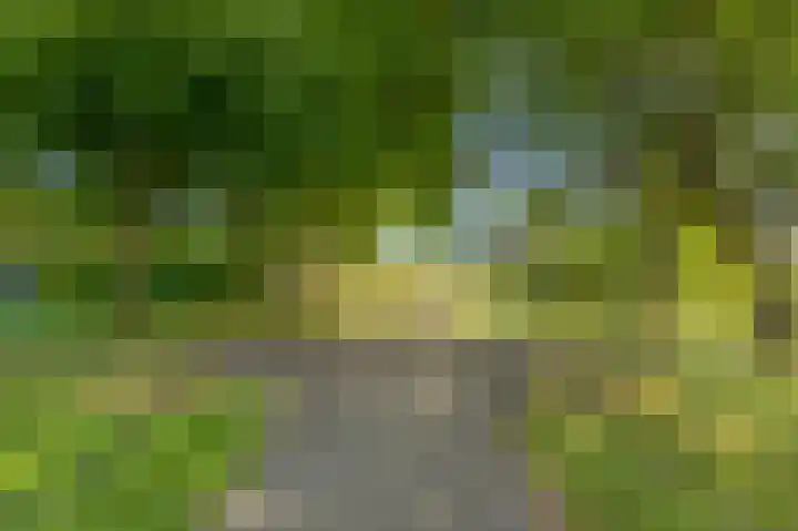 Bijlacker 4 Castricum thumbnail 41