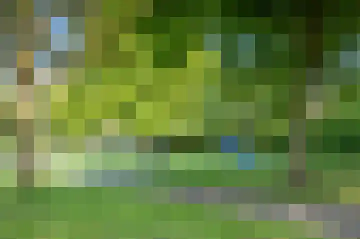 Bijlacker 4 Castricum thumbnail 42