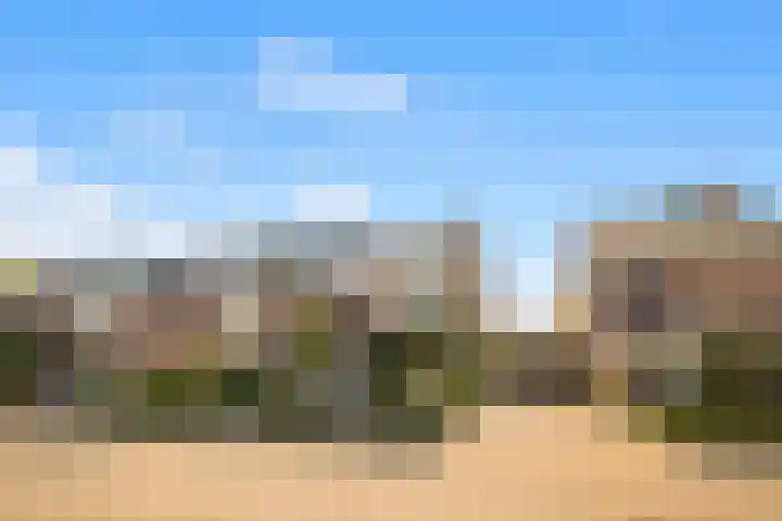 Bijlacker 4 Castricum thumbnail 43