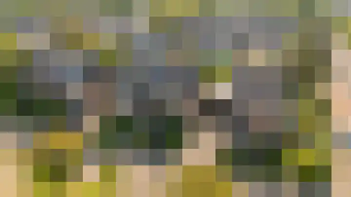 Bijlacker 4 Castricum thumbnail 44