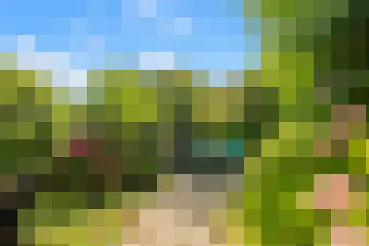 Bijlacker 4 Castricum thumbnail 5