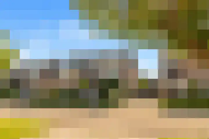 Bijlacker 4 Castricum thumbnail 6