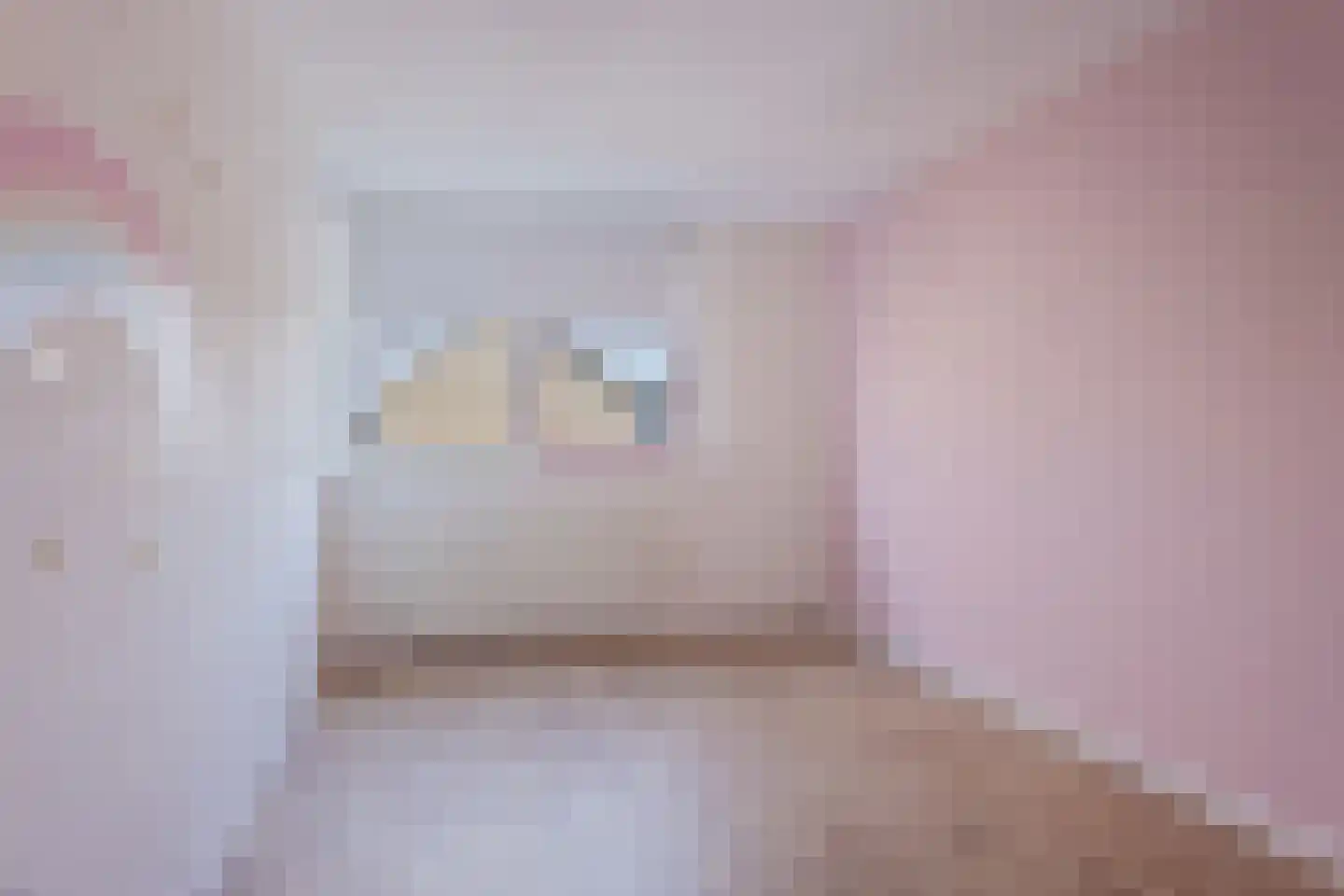 Bijlakker 42 Heerde thumbnail 18