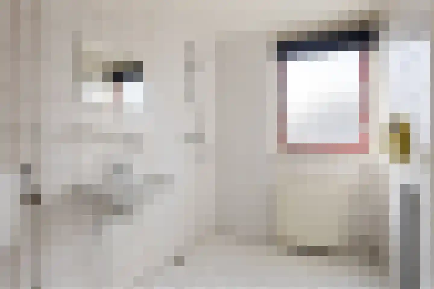 Bijlakker 42 Heerde thumbnail 22