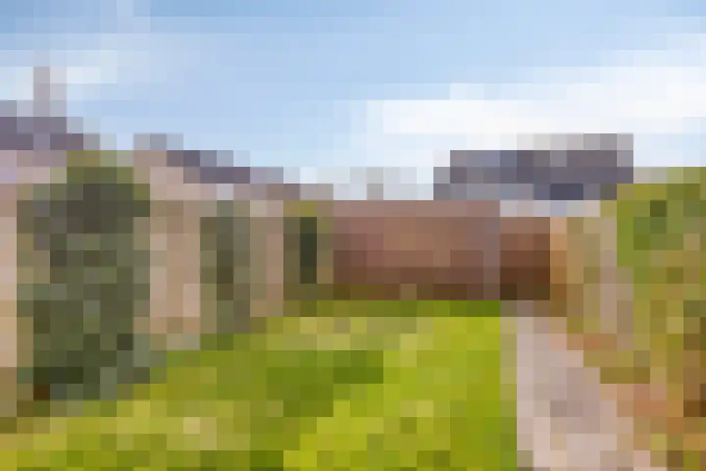 Bijlakker 42 Heerde thumbnail 27