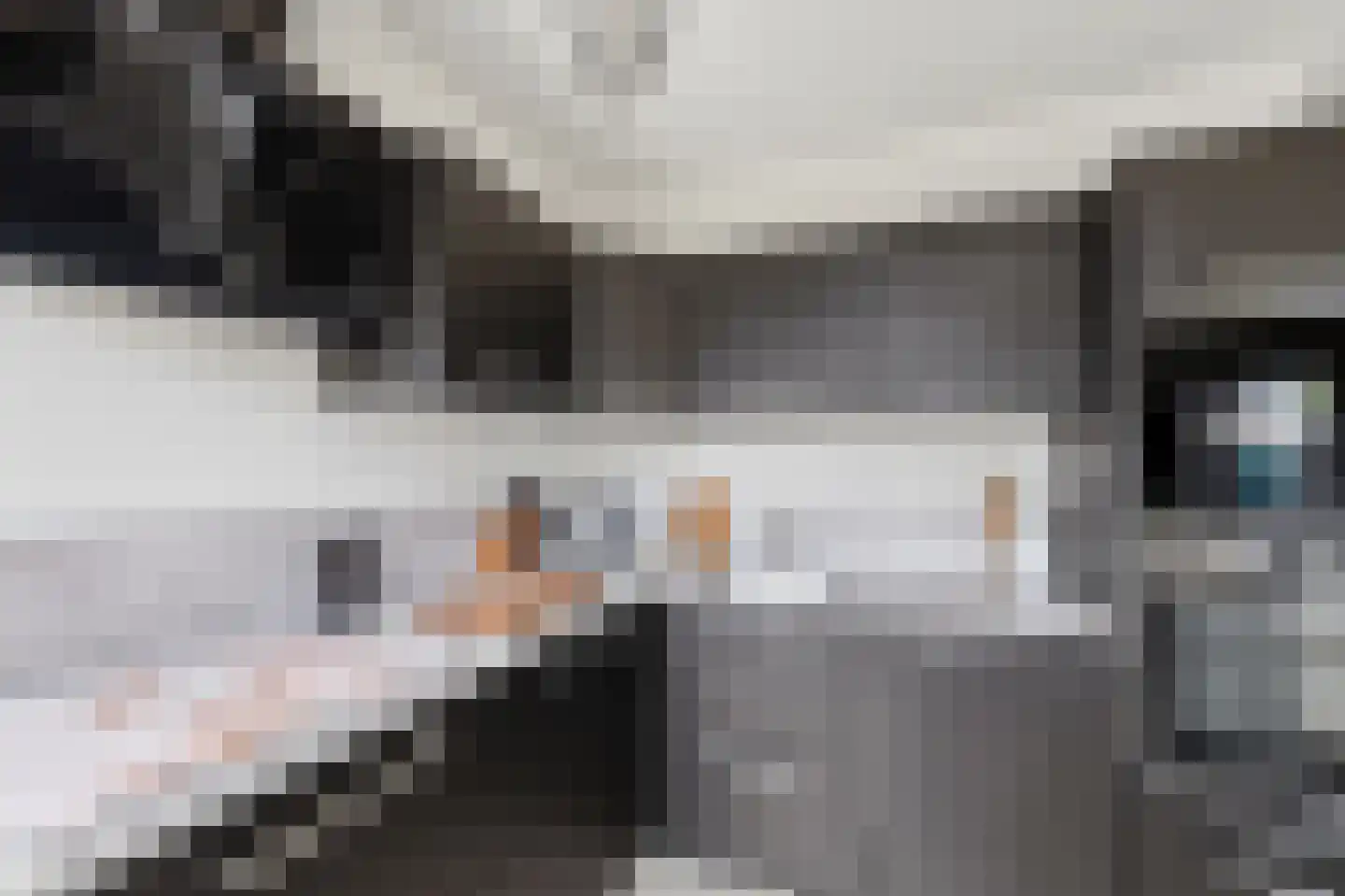 Bijlakker 50 Heerde thumbnail 10